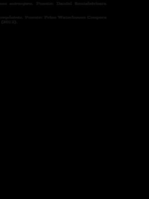 cover image of Las empresas de capitales europeos